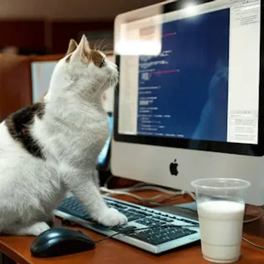 Kočičí pexeso puzzle - Hrajte tuto Zvířata hru online zdarma