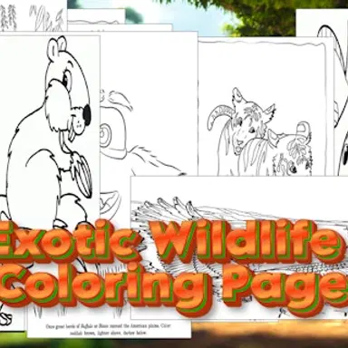 Exotic Wildlife Coloring Page - Play This Kids Game Online for Free