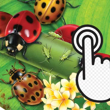 Ladybug Clicker - Play This Clicker Game Online for Free