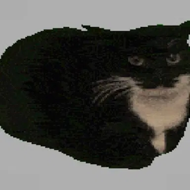 Spinning Cat Clicker - Play This Clicker Game Online for Free