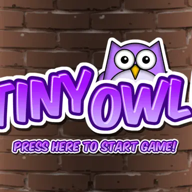 Tiny Owl - Play This Casual Game Online for Free