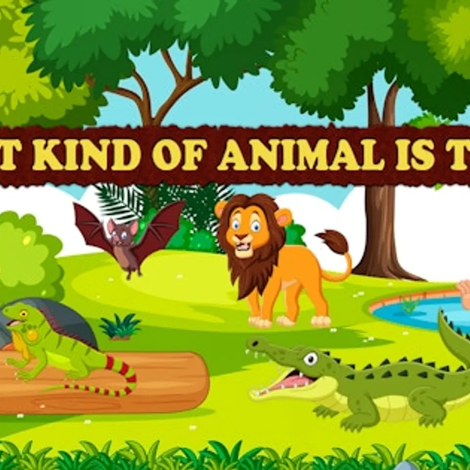 Play What Kind of Animal is This - Free Online Kids Browser Game